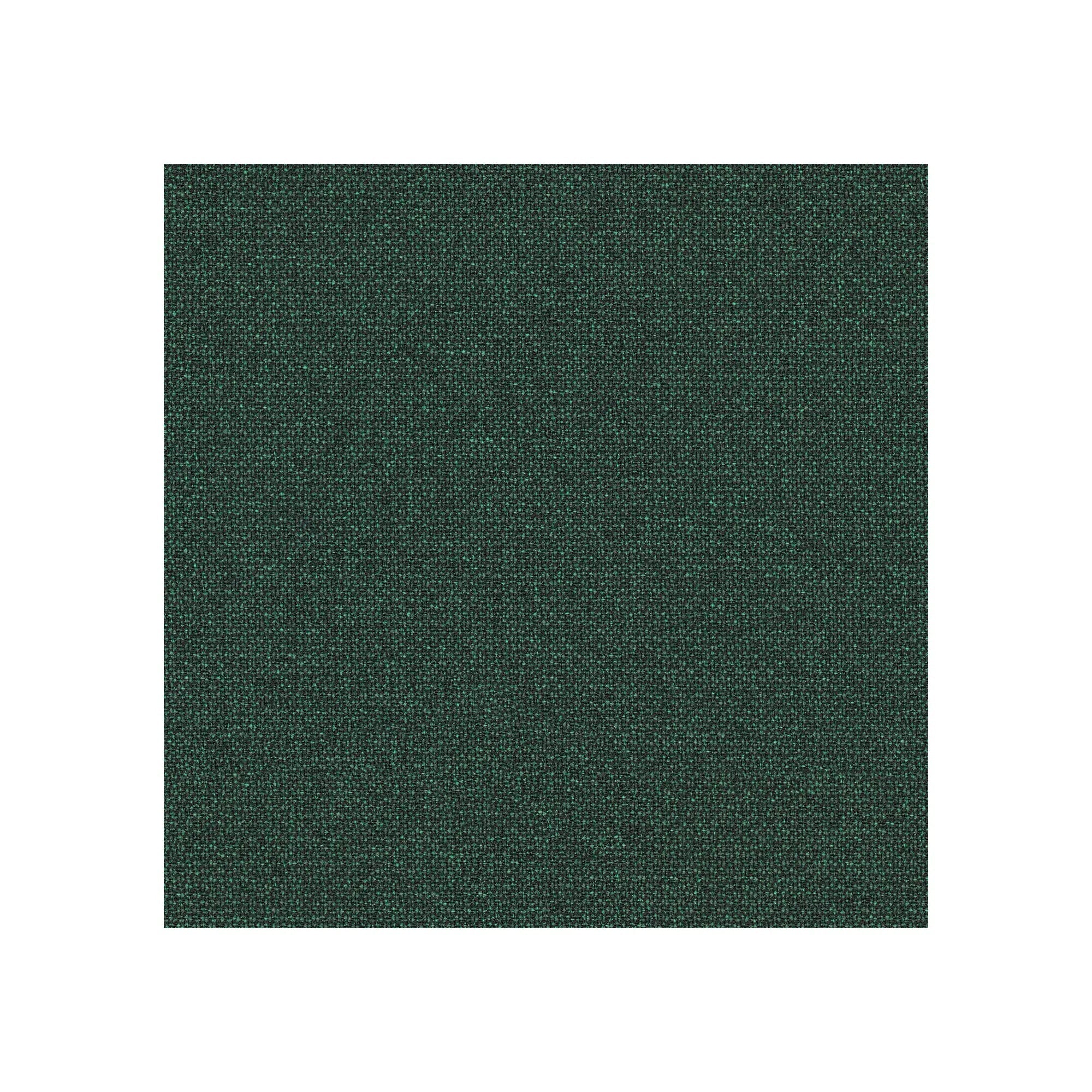 Cu tetieră / Renewed Loop Deep Forest LR13