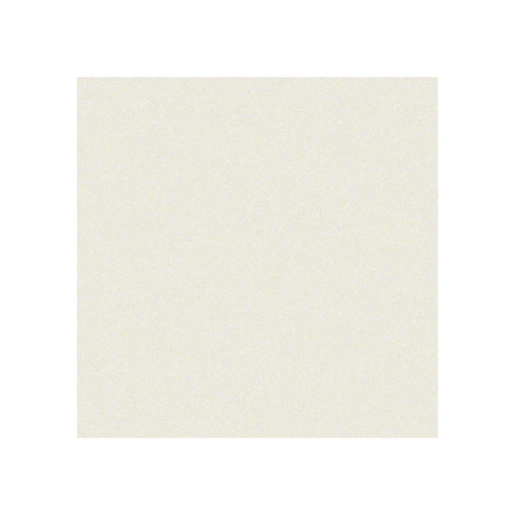 Melamine Snow WY/Paint Pearl Snow ZW