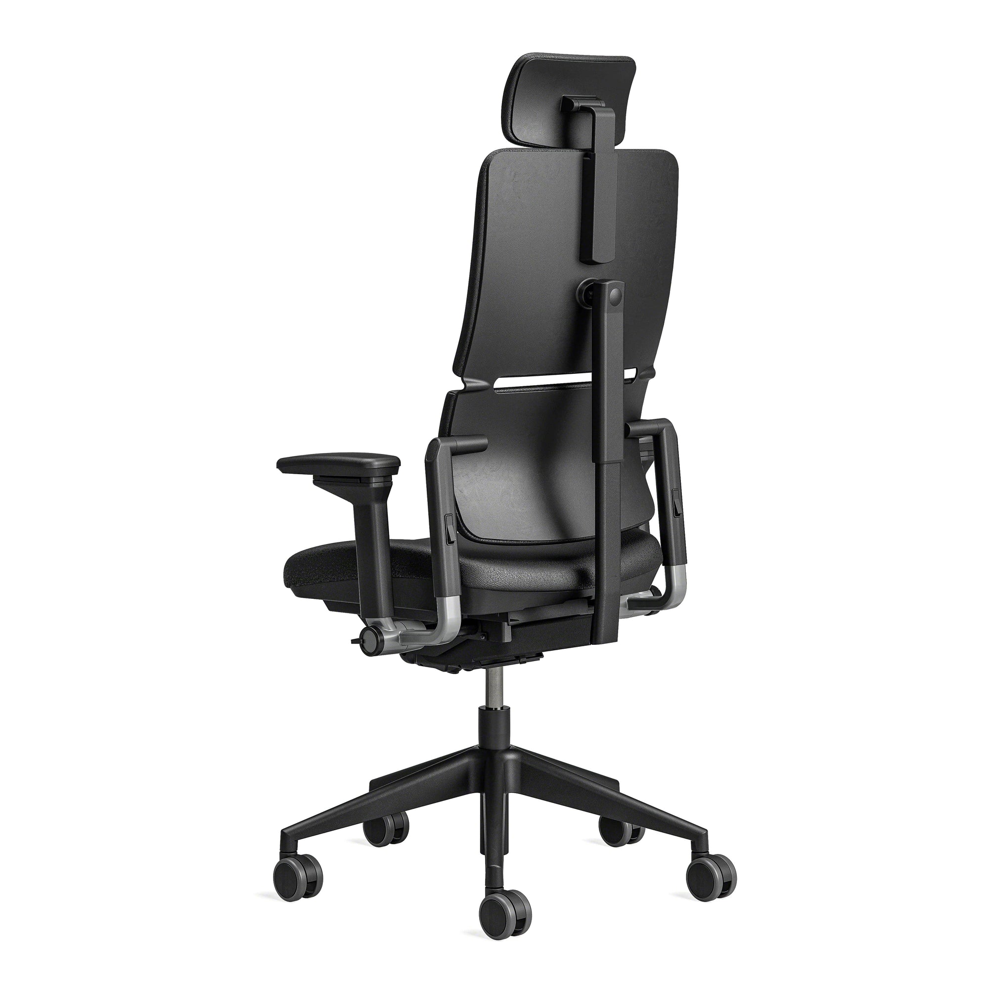 Cu tetieră / Europe Leather Black 0273