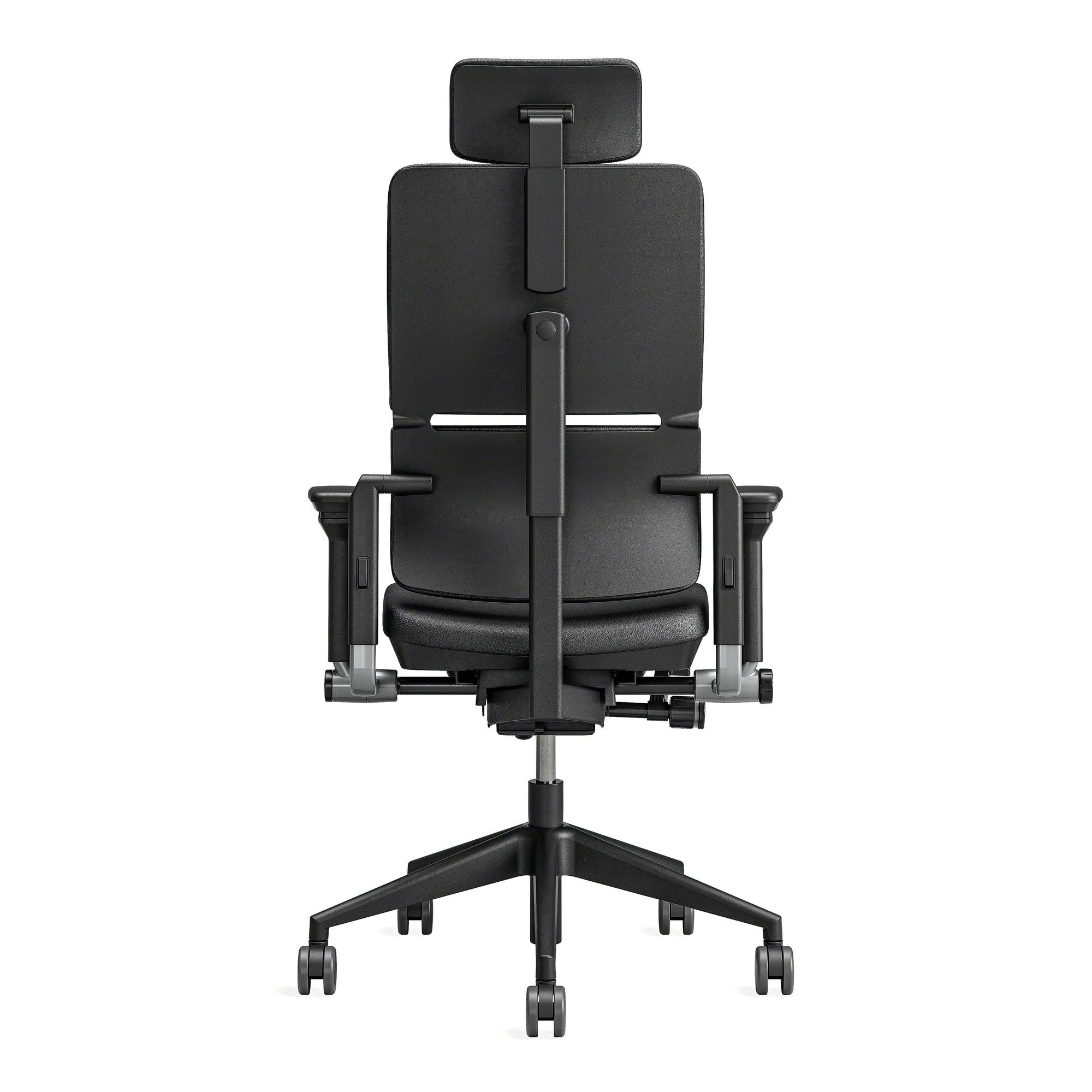 Cu tetieră / Europe Leather Black 0273